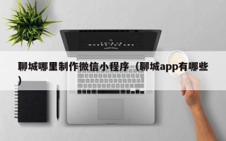大丰聊城哪里制作微信小程序（聊城app有哪些）