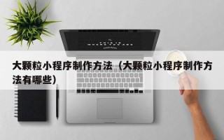 大丰大颗粒小程序制作方法（大颗粒小程序制作方法有哪些）