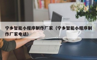 大丰宁乡智能小程序制作厂家（宁乡智能小程序制作厂家电话）