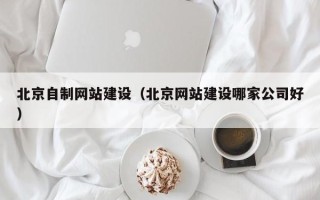 大丰北京自制网站建设（北京网站建设哪家公司好）