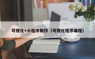 大丰可视化+小程序制作（可视化程序编程）